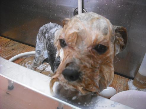 ファイル 269-2.jpg