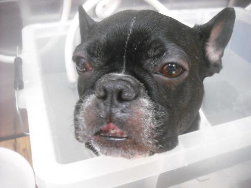 ファイル 2690-2.jpg