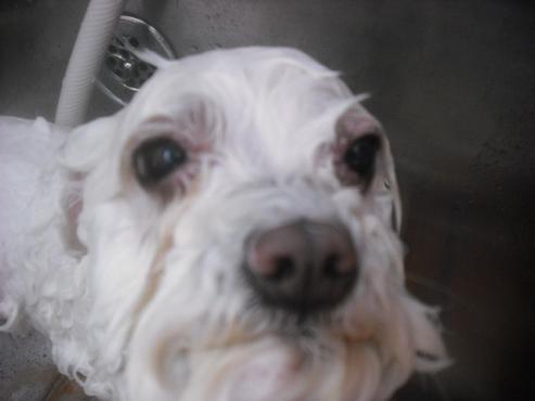 ファイル 2692-2.jpg