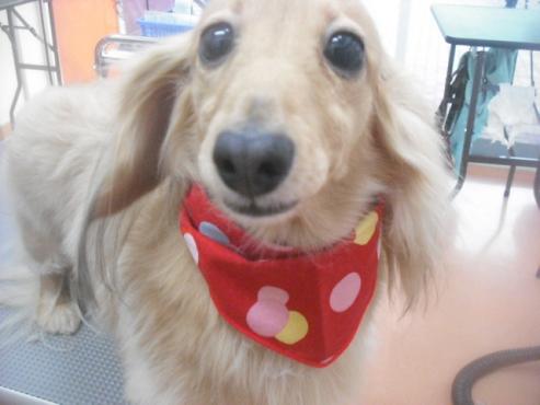 ファイル 2696-2.jpg