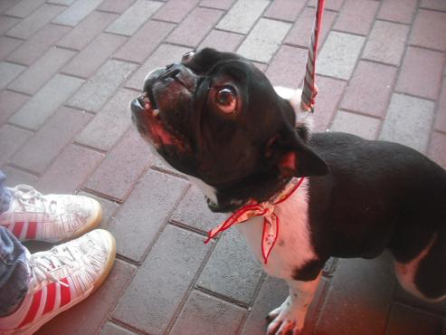 ファイル 2699-2.jpg