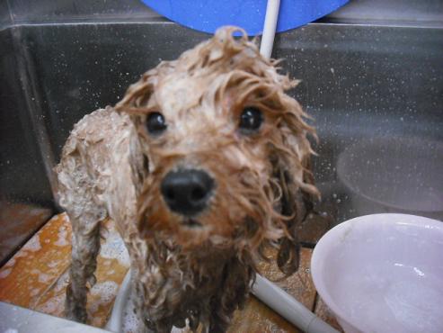 ファイル 27-2.jpg