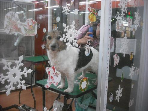 ファイル 2700-2.jpg