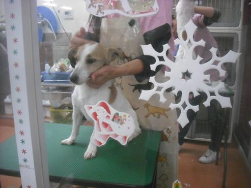 ファイル 2700-3.jpg