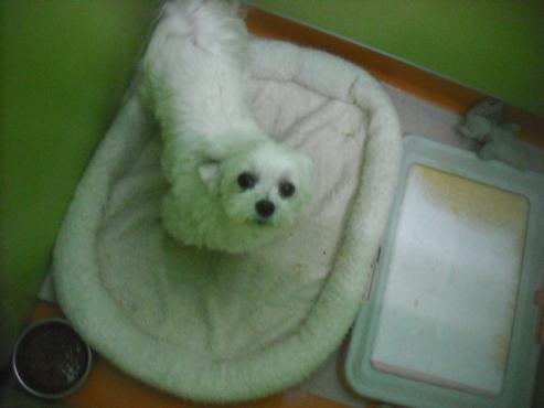 ファイル 2701-1.jpg