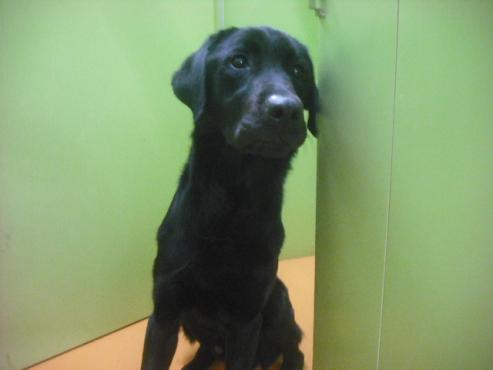 ファイル 2703-1.jpg