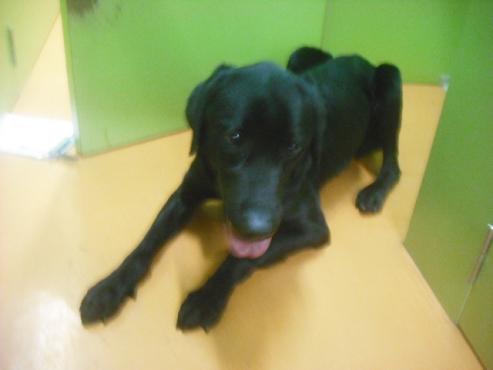 ファイル 2703-2.jpg