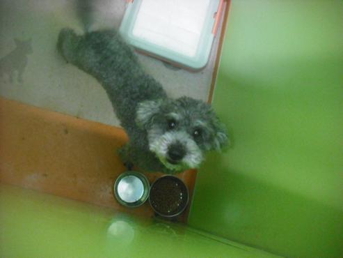 ファイル 2708-1.jpg