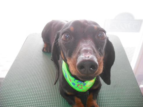 ファイル 271-1.jpg