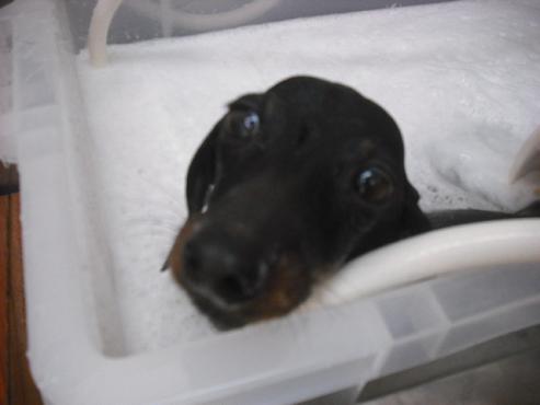 ファイル 271-2.jpg