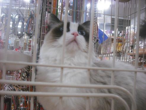 ファイル 2711-2.jpg