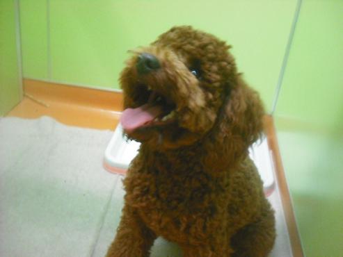 ファイル 2713-2.jpg