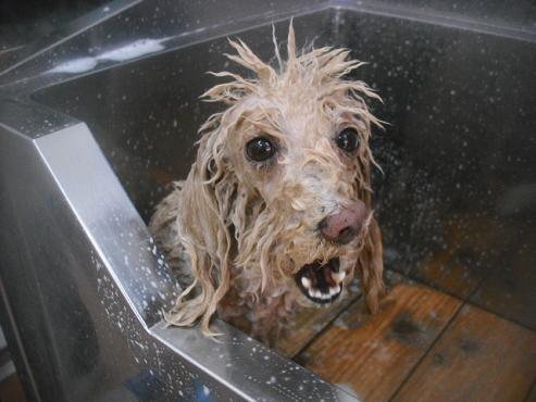 ファイル 2714-2.jpg