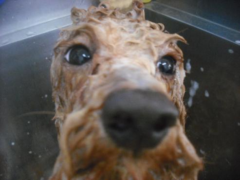 ファイル 2715-3.jpg