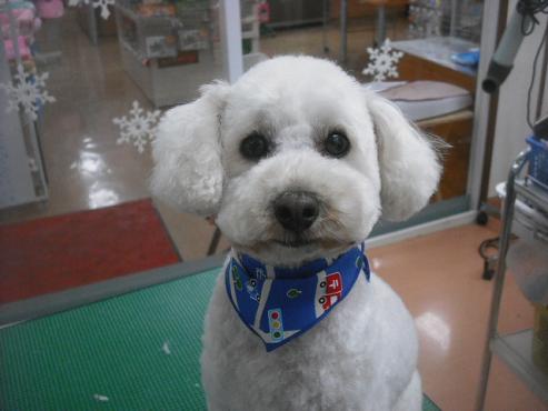 ファイル 2716-1.jpg