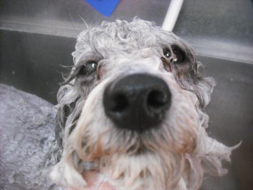 ファイル 2718-3.jpg