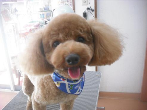 ファイル 2719-1.jpg