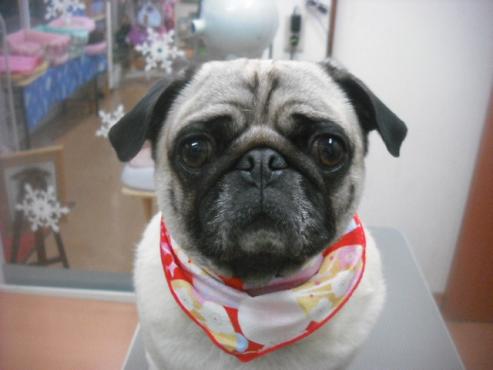 ファイル 2720-1.jpg