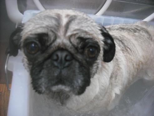 ファイル 2720-3.jpg