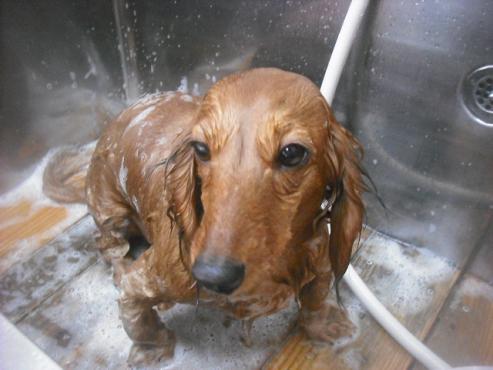 ファイル 2721-3.jpg