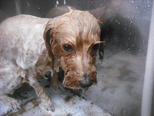 ファイル 2724-3.jpg