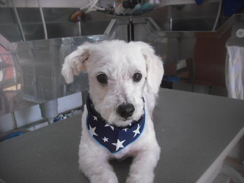 ファイル 2725-1.jpg