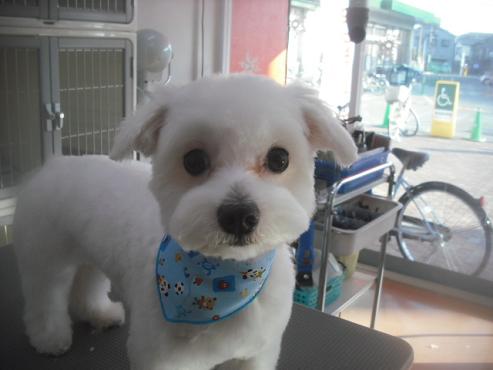 ファイル 2726-1.jpg