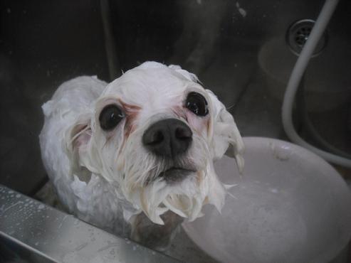 ファイル 2726-3.jpg