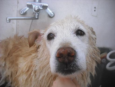 ファイル 2727-3.jpg