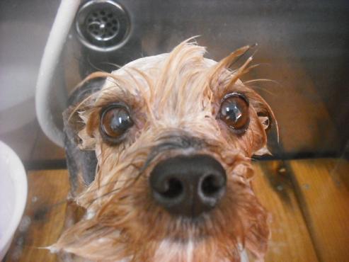 ファイル 2728-2.jpg