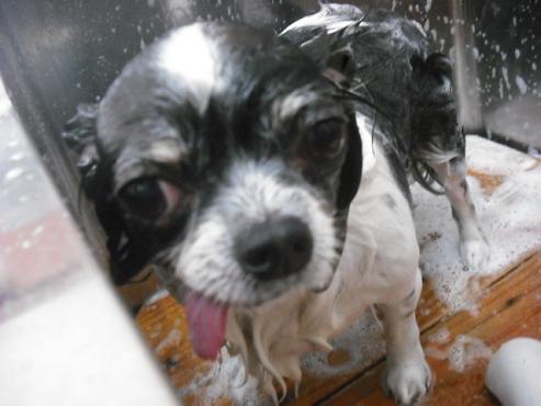 ファイル 273-2.jpg