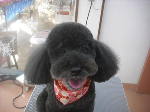 ファイル 2730-1.jpg