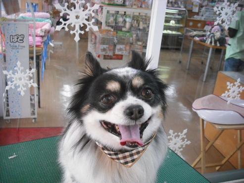 ファイル 2732-1.jpg