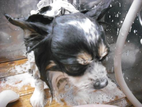 ファイル 2732-2.jpg