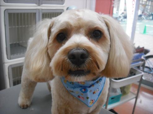 ファイル 2734-1.jpg