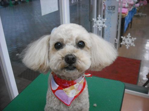 ファイル 2737-1.jpg