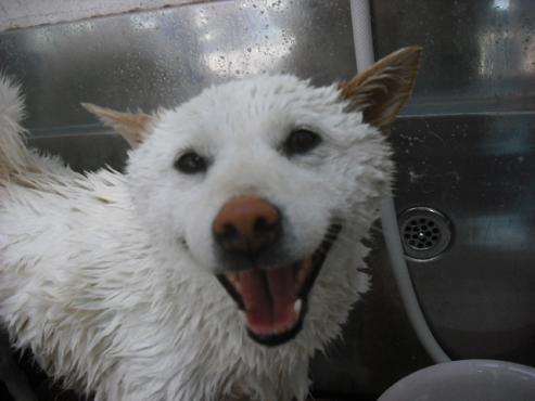 ファイル 274-2.jpg