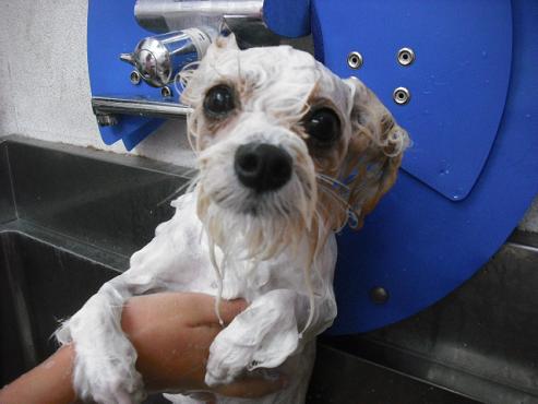 ファイル 2740-2.jpg