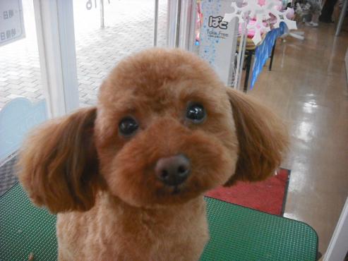 ファイル 2741-1.jpg