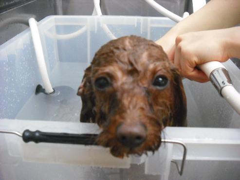 ファイル 2741-2.jpg