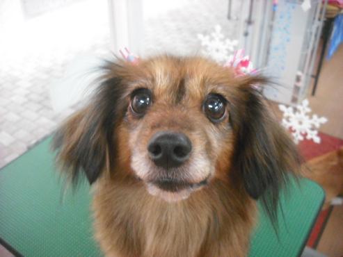 ファイル 2743-1.jpg