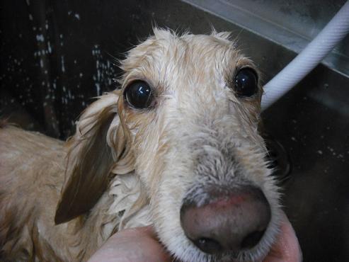 ファイル 2744-2.jpg