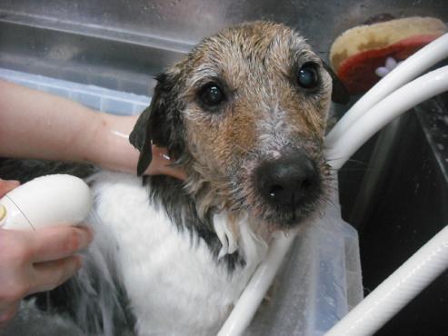 ファイル 2745-2.jpg