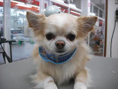 ファイル 2747-1.jpg