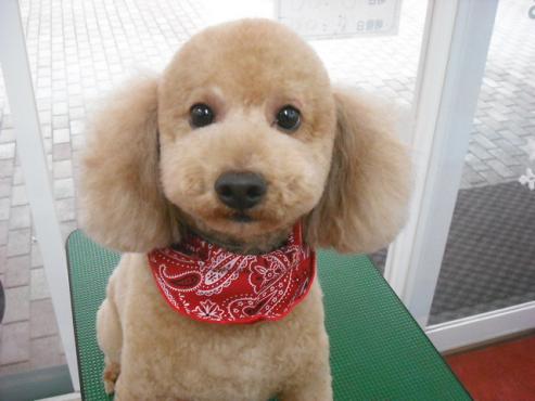 ファイル 2749-1.jpg