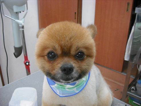 ファイル 275-1.jpg