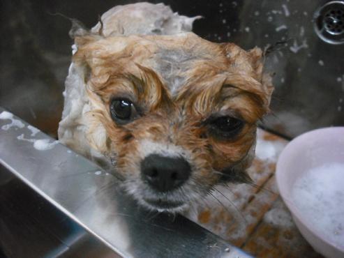 ファイル 275-2.jpg