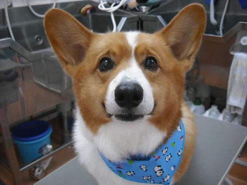 ファイル 2750-1.jpg