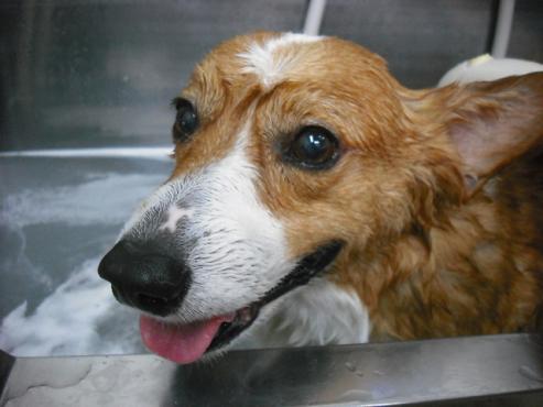 ファイル 2750-2.jpg