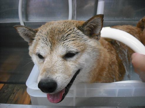 ファイル 2751-2.jpg